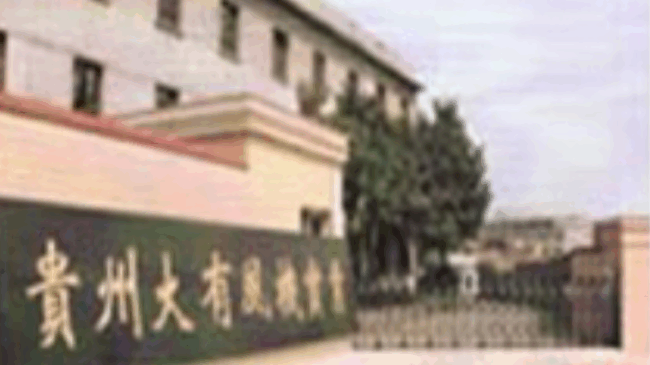 贵州大有风机实业有限公司