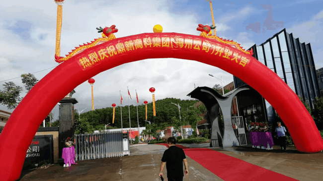 梅州鼎新高新科技材料有限公司